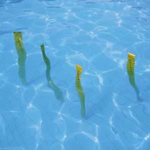 Slalom Acuático/Juego Algas con 4 unidades flotantes para juegos y entrenamientos en piscina.